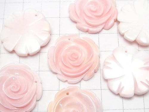 [Video] Queen Conch Shell AAA - Rose 25mm 1pc $4.79!
