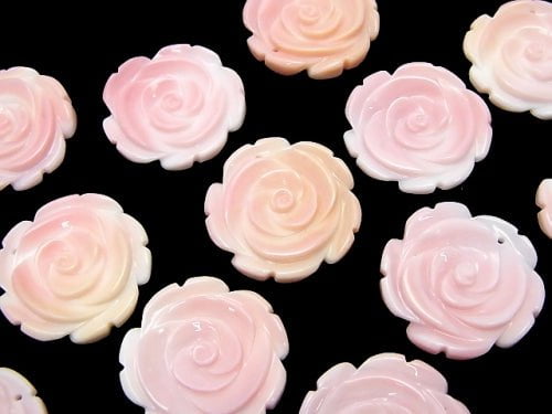 [Video] Queen Conch Shell AAA - Rose 25mm 1pc $4.79!
