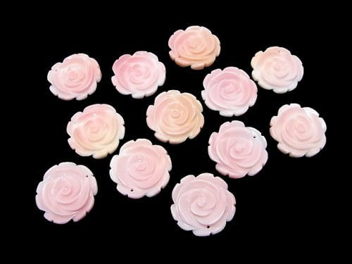 [Video] Queen Conch Shell AAA - Rose 25mm 1pc $4.79!