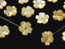 [Video] High Quality Yellow Shell AAA Flower 10mm Center Hole 4pcs
