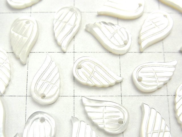 High Quality White Shell AAA Angel Wing 11 x 6 x 1 5 3 pcs $4.79!