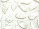 High Quality White Shell AAA Angel Wing 11 x 6 x 1 5 3 pcs $4.79!