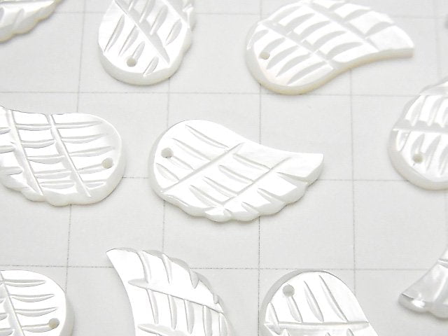 High Quality White Shell AAA Angel Wing 18x10x2mm 3pcs