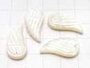 [Video] High quality white Shell AAA Angel Wing 23 x 12 x 5 mm 3 pcs