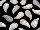 [Video] High quality white Shell AAA Angel Wing 23 x 12 x 5 mm 3 pcs