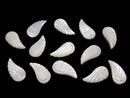 [Video] High quality white Shell AAA Angel Wing 23 x 12 x 5 mm 3 pcs