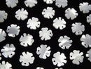 High quality White Shell (Silver-lip Oyster) Clover 10x10x1.5 4pcs $4.79!