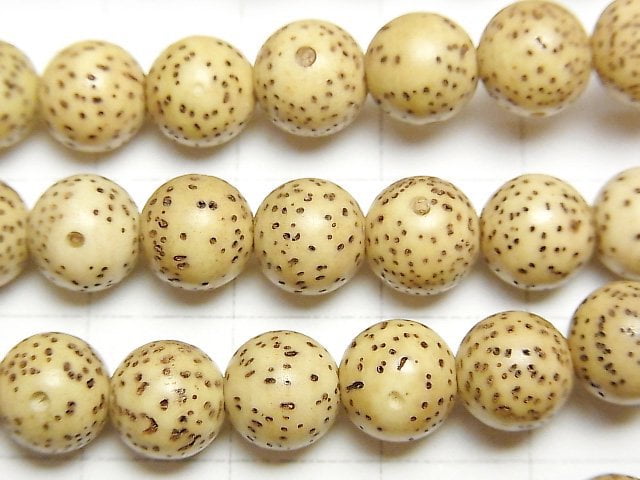 [Video] Linden (Bodhi tree) seed beads Round (Semi Round) 8mm 1strand beads (aprx.14inch / 34cm)