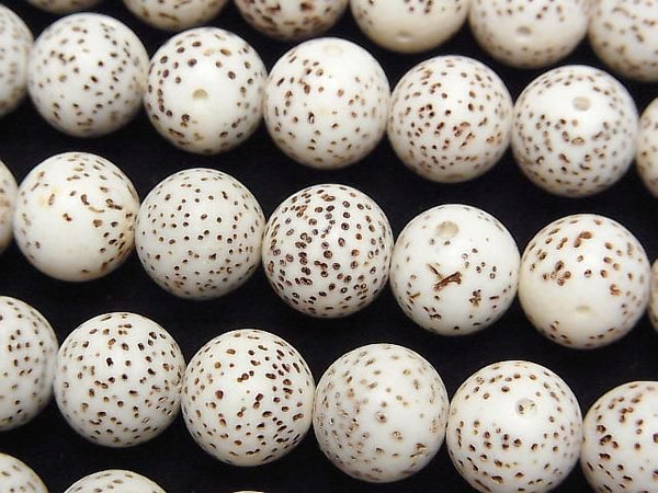 [Video] Linden seed beads Round (Semi Round) 10mm half or 1strand beads (aprx.13inch/33cm)