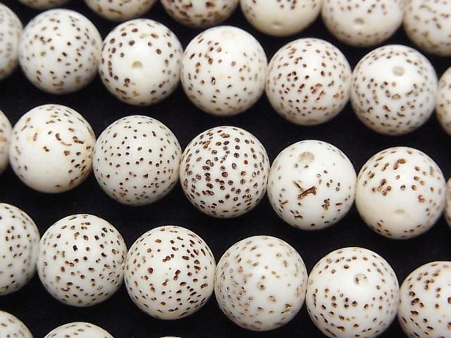 [Video] Linden seed beads Round (Semi Round) 10mm half or 1strand beads (aprx.13inch/33cm)
