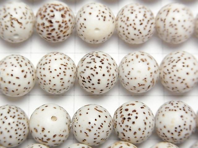 [Video] Linden seed beads Round (Semi Round) 10mm half or 1strand beads (aprx.13inch/33cm)