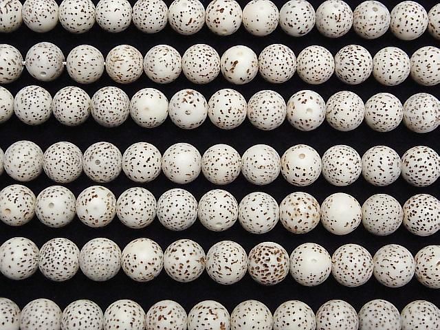 [Video] Linden seed beads Round (Semi Round) 10mm half or 1strand beads (aprx.13inch/33cm)