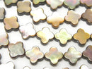 Mother of Pearl (Shell Beads) Pearl & Shell Beads