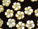 [Video] High Quality Yellow Shell AAA Flower 12mm Center Hole 3pcs