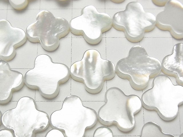 [Video] High quality white Shell AAA flower motif 13x13x3mm 1/4 or 1strand beads (aprx.15inch/38cm)