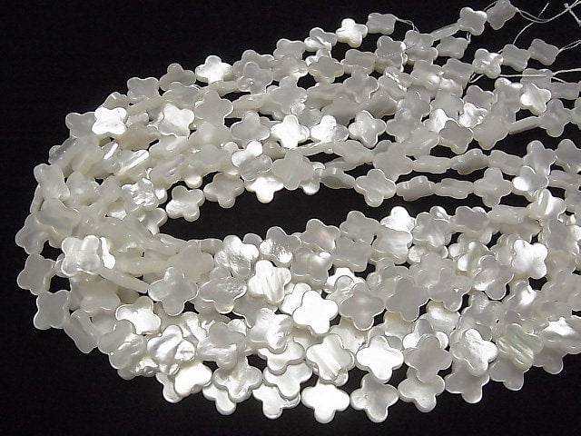 [Video] High quality white Shell AAA flower motif 13x13x3mm 1/4 or 1strand beads (aprx.15inch/38cm)