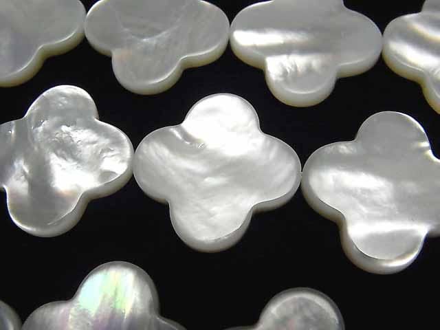 [Video] High-quality White Shell AAA Flower Motif 20x20x3mm 1/4 or 1strand beads (approx. 14 inches/35 cm)