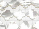 [Video] High-quality White Shell AAA Flower Motif 20x20x3mm 1/4 or 1strand beads (approx. 14 inches/35 cm)