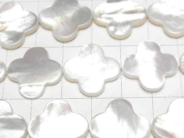[Video] High Quality White Shell AAA Flower Motif 20x20x3mm 1/4 or 1strand beads (aprx.14inch/35cm)