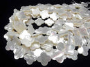 [Video] High-quality White Shell AAA Flower Motif 20x20x3mm 1/4 or 1strand beads (approx. 14 inches/35 cm)