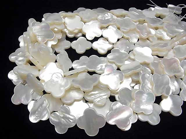[Video] High Quality White Shell AAA Flower Motif 20x20x3mm 1/4 or 1strand beads (aprx.14inch/35cm)