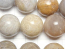 [Video]Fossil Coral Round 18mm half or 1strand beads (aprx.15inch/36cm)