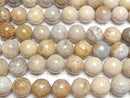 [Video]Fossil Coral Round 18mm half or 1strand beads (aprx.15inch/36cm)