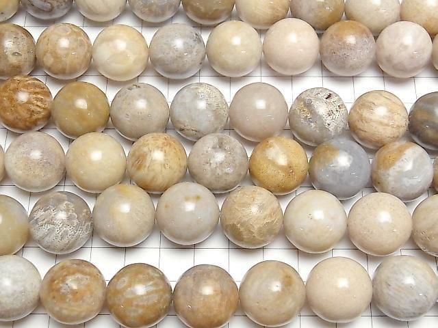 [Video]Fossil Coral Round 18mm half or 1strand beads (aprx.15inch/36cm)