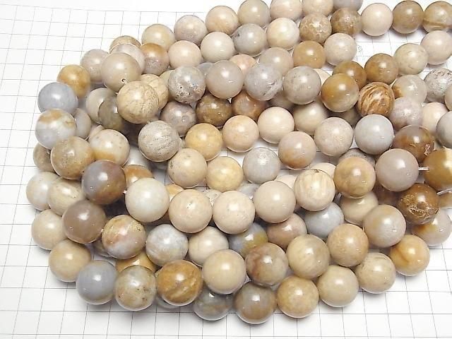 [Video]Fossil Coral Round 18mm half or 1strand beads (aprx.15inch/36cm)
