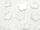 [Video] High Quality White Shell (Silver-lip Oyster) AAA Flower 10mm 4pcs
