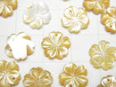 [Video] High Quality Yellow Shell AAA Flower 10mm 4pcs