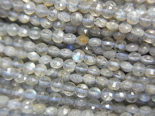Coin, Labradorite Gemstone Beads