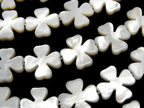 [Video] High quality white shell (Silver-lip Oyster) flower motif 15x15x3mm 1/4 or 1strand beads (aprx.15inch/36cm)