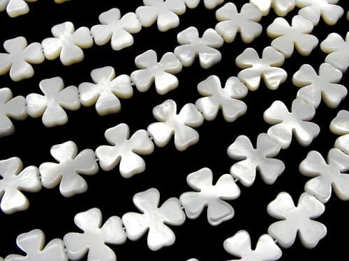 [Video] High quality white shell (Silver-lip Oyster) flower motif 15x15x3mm 1/4 or 1strand beads (aprx.15inch/36cm)