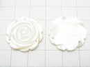 [Video] 3pcs $8.79! White Shell (Silver-lip Oyster) AAA Rose 22mm Three holes 3pcs
