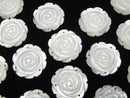 [Video] 3pcs $8.79! White Shell (Silver-lip Oyster) AAA Rose 22mm Three holes 3pcs