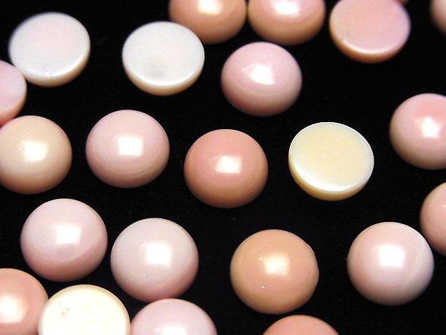 [Video] Queen Conch Shell AAA Round Cabochon 8x8mm 3pcs