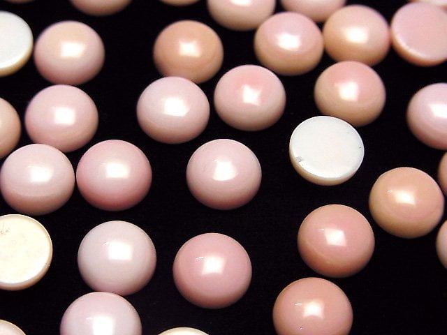 [Video] Queen Conch Shell AAA Round Cabochon 8x8mm 3pcs