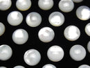 [Video] High Quality White Shell (Silver-lip Oyster) AAA Round Cabochon 8x8mm 5pcs