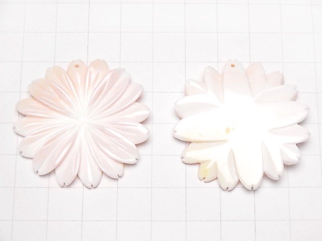 [Video] Queen Conch Shell AAA Margaret (Flower) 40mm 1pc $9.79!