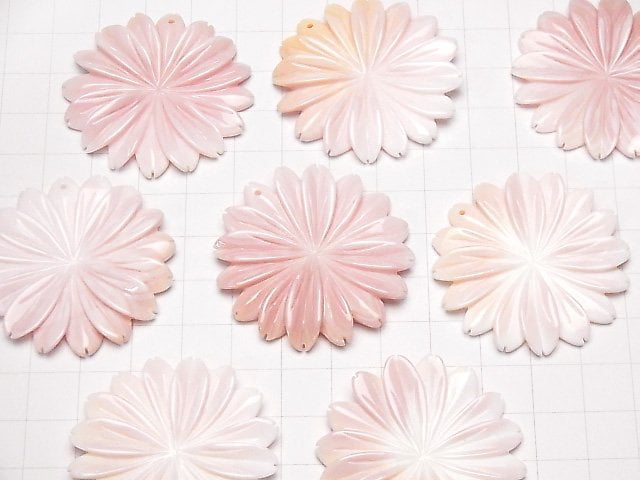 [Video] Queen Conch Shell AAA Margaret (Flower) 40mm 1pc $9.79!