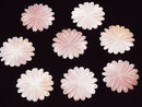 [Video] Queen Conch Shell AAA Margaret (Flower) 40mm 1pc $9.79!