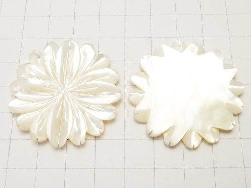 [Video] High Quality White Shell AAA Marguerite (Flower) 40mm 1pc