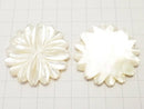 [Video] High Quality White Shell AAA Marguerite (Flower) 40mm 1pc