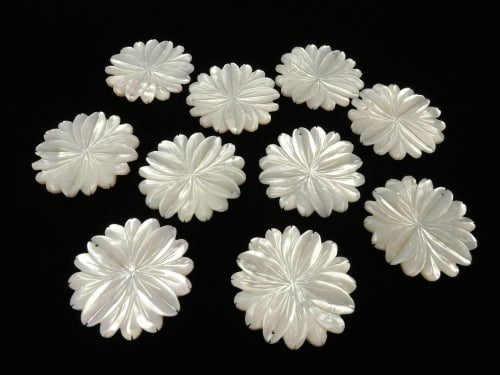 [Video] High Quality White Shell AAA Marguerite (Flower) 40mm 1pc