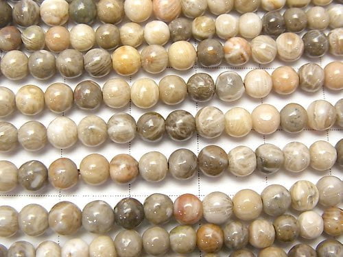 1strand $5.79! Fossil Coral  Round 4mm 1strand beads (aprx.15inch/38cm)