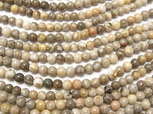 1strand $5.79! Fossil Coral  Round 4mm 1strand beads (aprx.15inch/38cm)