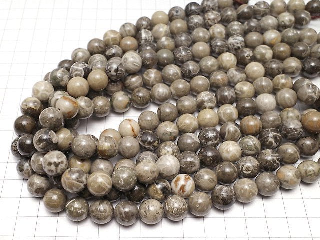 Fossil Coral  Round 12mm half or 1strand beads (aprx.15inch/36cm)