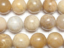 [Video]Fossil Coral Round 14mm half or 1strand beads (aprx.15inch/36cm)
