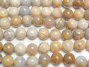 [Video]Fossil Coral Round 14mm half or 1strand beads (aprx.15inch/36cm)